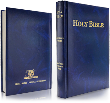 175ACEBible_210225094931