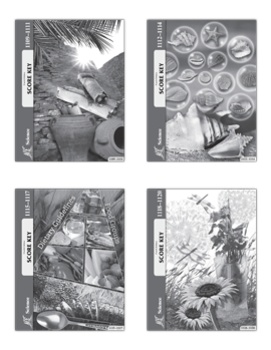 10th Grade Physical Science Key Set, 4th Edition, from ACE School of Tomorrow