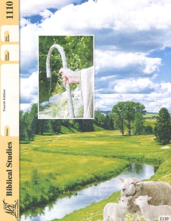 Old Testament Survey Pace 1110 (4th Edition) by Accelerated Christian Education ACE