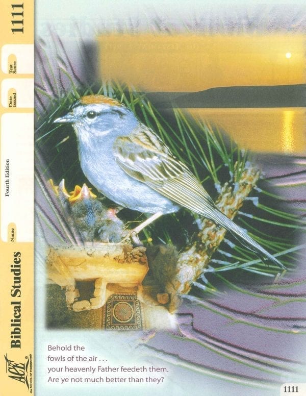 Old Testament Survey Pace 1111 (4th Edition) by Accelerated Christian Education ACE