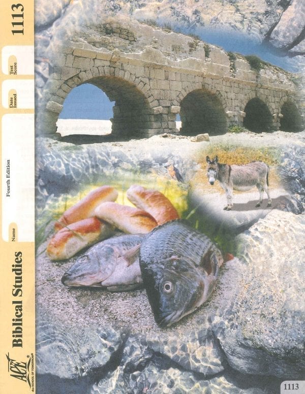 Old Testament Survey Pace 1113 (4th Edition) by Accelerated Christian Education ACE