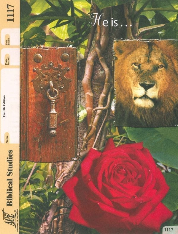 Old Testament Survey Pace 1117 (4th Edition) by Accelerated Christian Education ACE