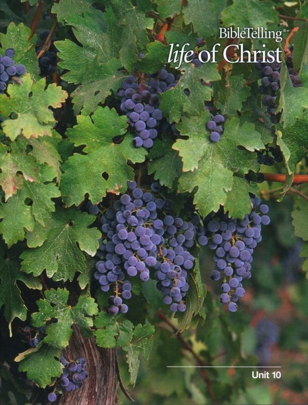 BibleTelling- Life of Christ Unit 10