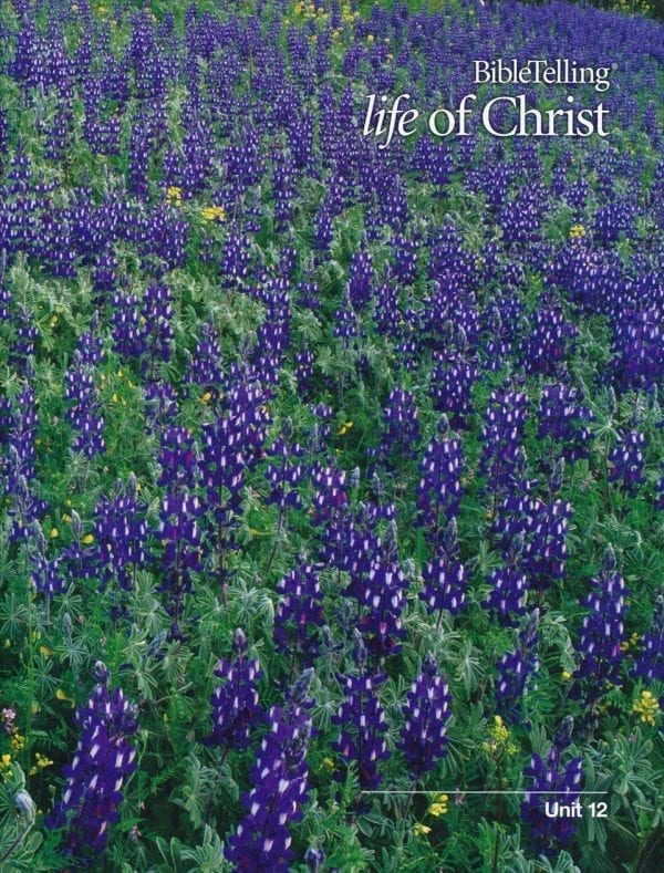 BibleTelling- Life of Christ Unit 12